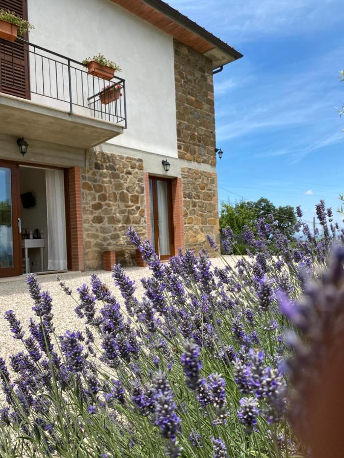 Podere Belsogno Montalcino Extérieur photo