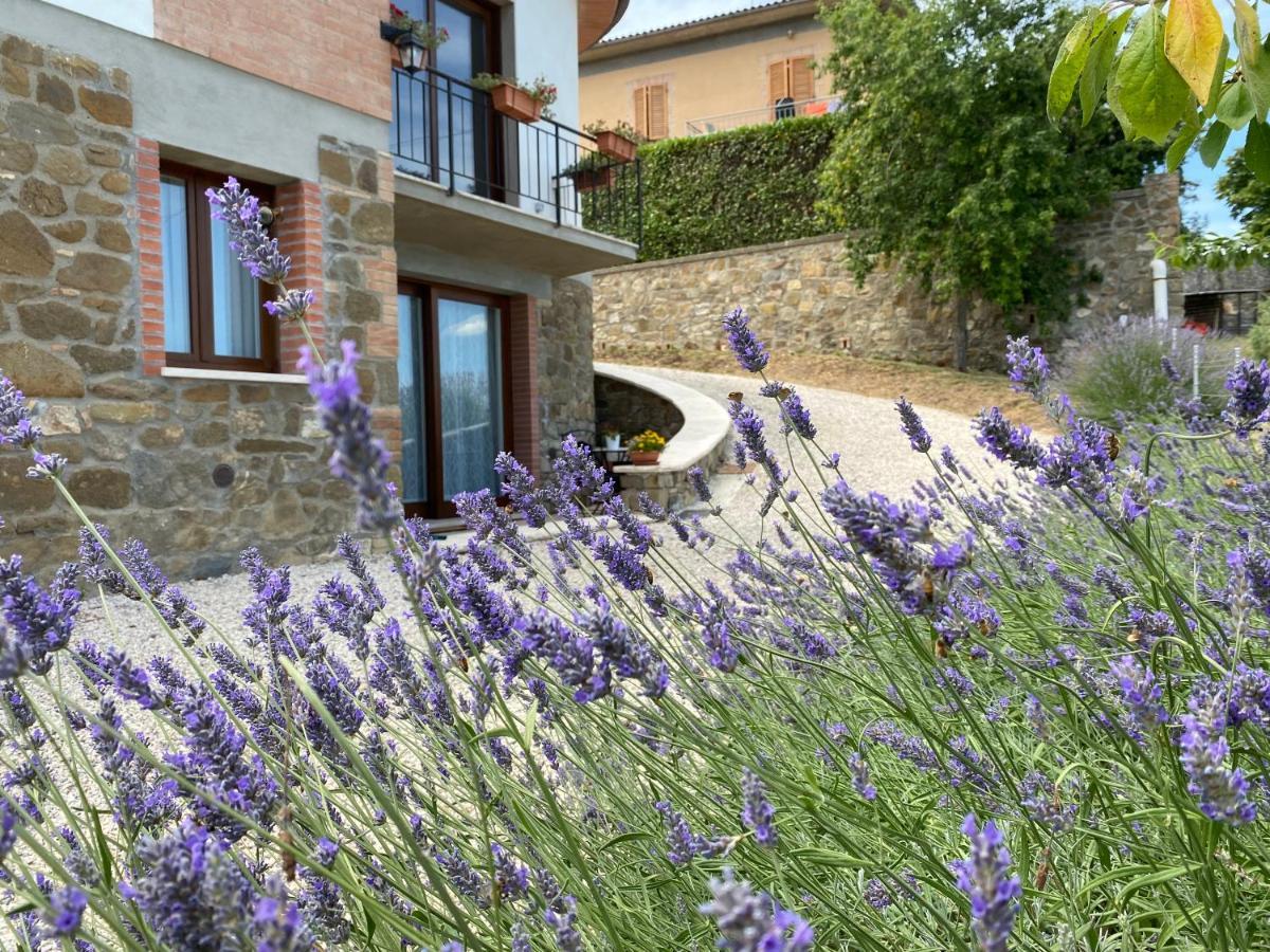 Podere Belsogno Montalcino Extérieur photo