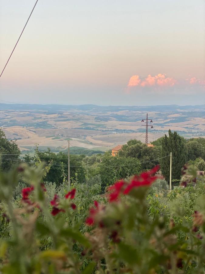 Podere Belsogno Montalcino Extérieur photo